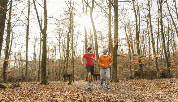 Zwei junge Männer joggen im Wald - UUF003742