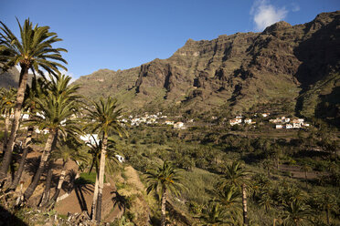 Spanien, Kanarische Inseln, La Gomera, Valle Gran Rey, Blick auf Bergdorf und Palmen und Terrassenfelder - PCF000122