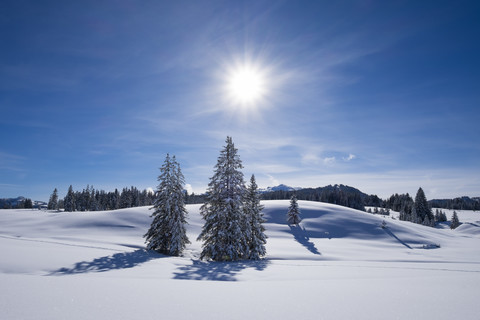 Deutschland, Reit im Winkl, schneebedeckte Winklmoosalm, lizenzfreies Stockfoto