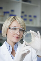 Scientist with petri dish in laboratory - RBF002580