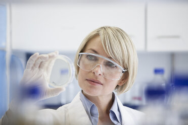 Scientist with petri dish in laboratory - RBF002582