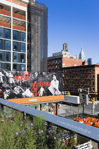 USA, New York, Manhattan, Teil der Chelsea Grasslands am High Line Park auf einer stillgelegten Hochbahntrasse - PSF000677