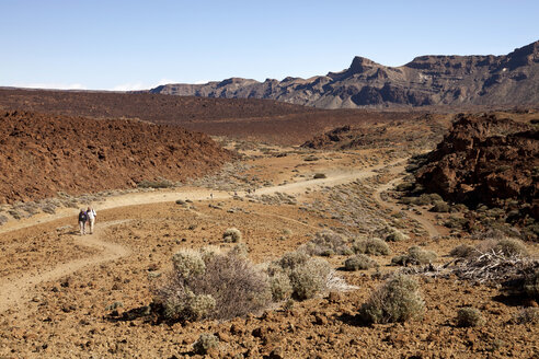 Spanien, Kanarische Inseln, Teneriffa, Wanderer im Teide-Nationalpark - PCF000124