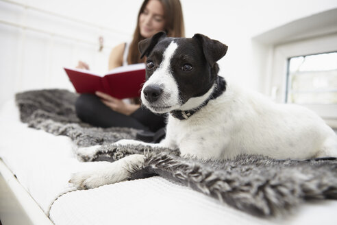 Junge Frau sitzt mit Hund auf dem Bett und schreibt Tagebuch - RHF000701