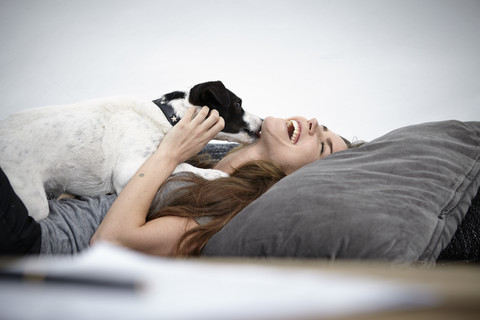 Junge Frau spielt mit Hund auf Couch, lizenzfreies Stockfoto