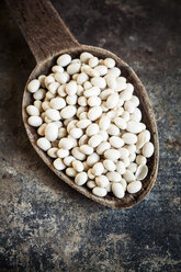 Wooden spoon of white beans - SBDF001711