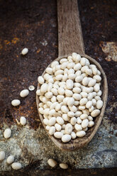 Wooden spoon of white beans - SBDF001725