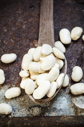 Wooden spoon of Giant white beans - SBDF001726