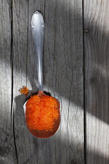 Roter Kaviar, Lachsrogen, auf Löffel - CSF025126