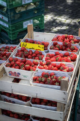 Germany, Lower Saxony, Hildesheim, Strawberries in cardboard punnets at market - EVGF001434