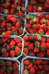 Deutschland, Niedersachsen, Hildesheim, Erdbeeren in Pappbechern auf dem Markt - EVGF001437