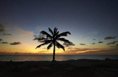 Caribbean, Netherlands Antilles, Bonaire, Pink Beach at sunset - MRF001619