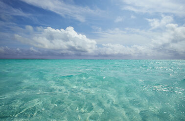 Caribbean, Netherlands Antilles, Bonaire, seascape at Lac Bay - MRF001614