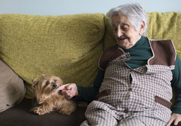 Alte Frau, die einen Yorkshire Terrier streichelt - RAEF000118