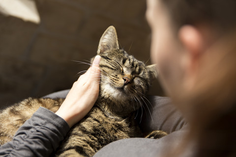 Woman cuddling with cat stock photo