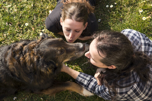 Ehepaar mit Mischlingshund auf einer Wiese - MIDF000257