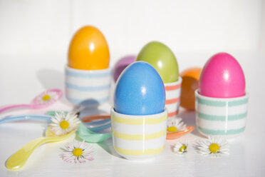 Coloured Easter eggs in egg cups - YFF000352