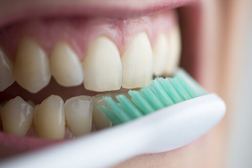 Zahnbürste auf den Zähnen - CHPF000129