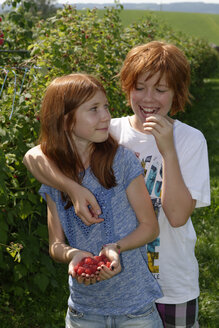 Bruder und Schwester mit frischen Himbeeren - LBF001107