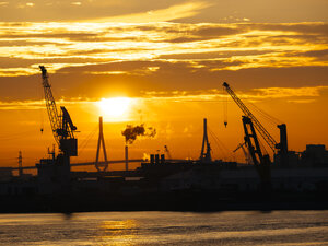 Deutschland, Hamburg, Silhouetten von Hafenkränen bei Sonnenuntergang, im Hintergrund die Köhlbrandbrücke - KRPF001408
