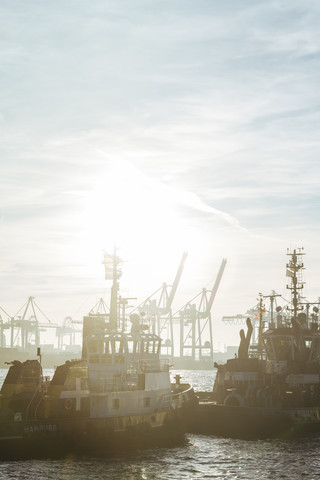 Germany, Hamburg, Port of Hamburg, Harbour cranes and towboats at sunset stock photo