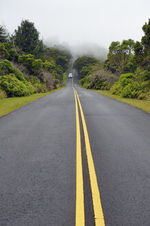 USA, Hawaii, Waimea, Straße im Nebel, Kokee State Park - BRF001121