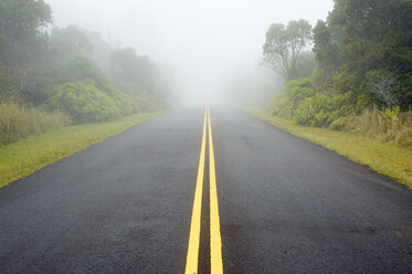 USA, Hawaii, Waimea, Straße im Nebel, Kokee State Park - BRF001123