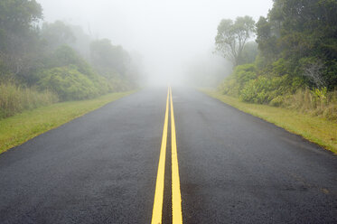 USA, Hawaii, Waimea, street in fog, Kokee State Park - BRF001123
