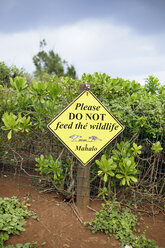 USA, Hawaii, warning sign, do not feed the wildlife, Kilauea Point National Wildlife Refuge - BRF001132