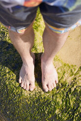 USA, Hawaii, Hanalei, feet on moos-grown stone at beach - BRF001147