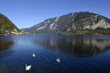 Austria, Salzkammergut, Hallstatt Dachstein Cultural landscape - LHF000445