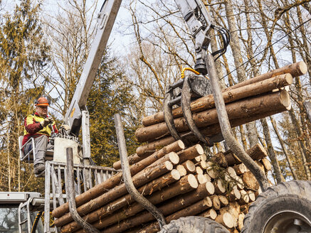 Deutschland, Mühlenbach, Beseitigung von abgeholzten Baumstämmen - LA001387