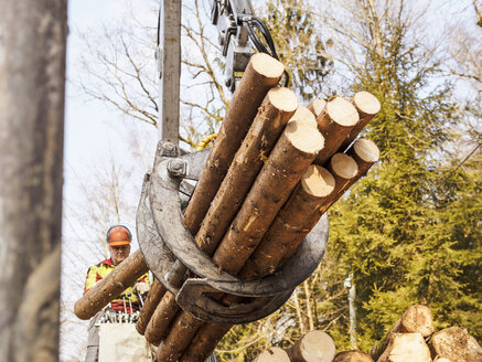 Deutschland, Mühlenbach, Beseitigung von abgeholzten Baumstämmen - LA001388