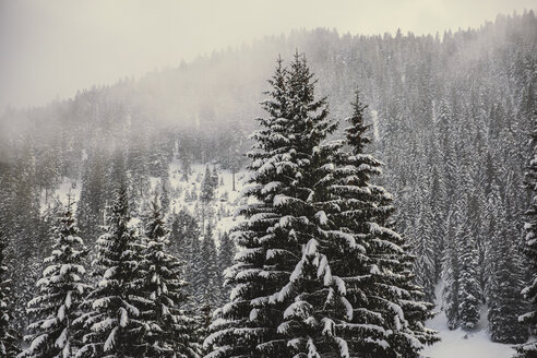 Deutschland, Bayern, Skigebiet Grasgehren - MFF001559