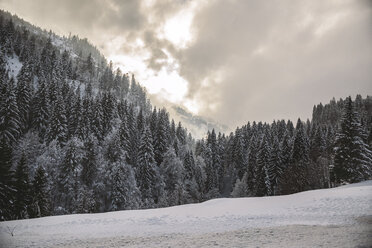 Deutschland, Bayern, Skigebiet Grasgehren - MFF001560