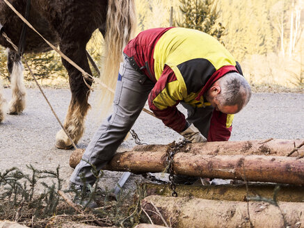 Deutschland, Mühlenbach, Holzfäller befestigt Baumstämme mit Kette - LA001389