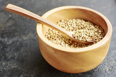 Hemp seeds in a wooden bowl. - HAWF000764