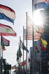 Niederlande, Rotterdam, verschiedene Flaggen gegen die Sonne - MYF000980