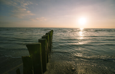 Niederlande, Westenschouwen, Strand bei Sonnenuntergang - MYF000988