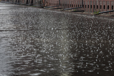 Regentropfen fallen auf Wasser - WIF001690