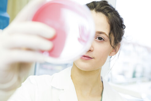 Young lab technician looking at agar plate - DISF001583