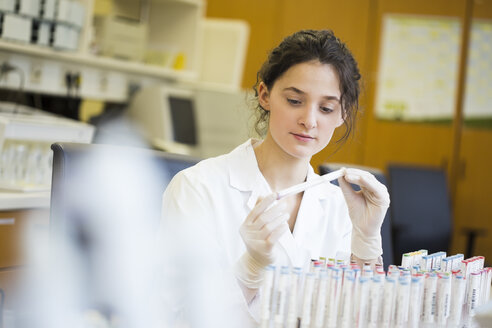 Young lab technician looking at medical sample - DISF001599