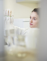 Young lab technician with test tube rack - DISF001602