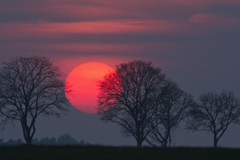 Deutschland, Bayern, Sonnenuntergang, Abendsonne und Bäume, lizenzfreies Stockfoto