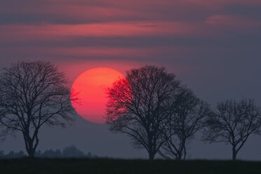 Deutschland, Bayern, Sonnenuntergang, Abendsonne und Bäume - UMF000763