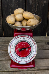 Kilogramm Kartoffeln auf einer Küchenwaage - SARF001629