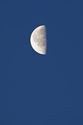 Half moon with lunar crater in the morning - UMF000770