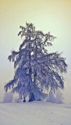 Winter landscape, Bavaria, Germany - MAEF010181