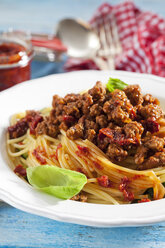 Teller mit Spaghetti Bolgnese - CSF025278