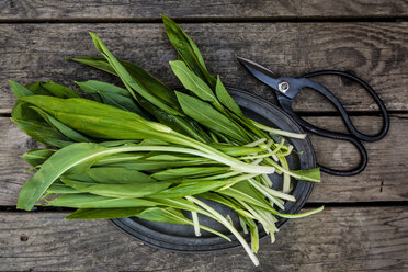 Ramson auf Tablett und Schere auf Holz - SARF001633